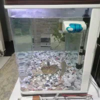 آکواریوم با میز ام دی اف