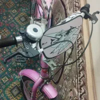 دوچرخه دخترانه زیبا