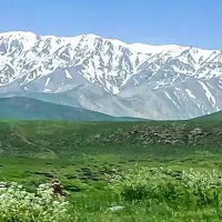 همقدم کوه نوردی