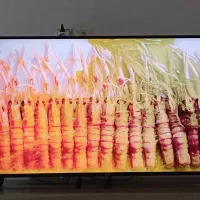 تلویزیون 55دووبا دیجیتال داخلی قوی|تلویزیون و پروژکتور|تهران, وردآورد|دیوار