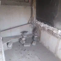 پرنده کوهی|پرنده|ری, شهید بهشتی|دیوار