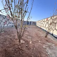 زمین-باغات-باغچه-کلنگی-خوش-قواره