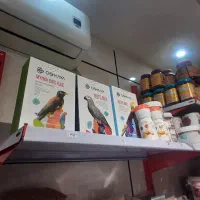 غذای پرندگان اوشکایا عروس هلندی کاسکو مرغ مینا
