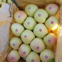 مشتری میخوام برای سیب دو رج درجه یک صادراتی