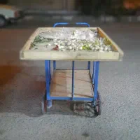 گاری میوه و استند میوه فروشی