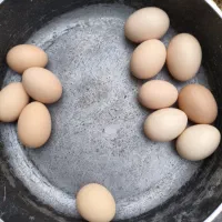 تخم مرغ نطفه دار دانه ای ۴۰تومن