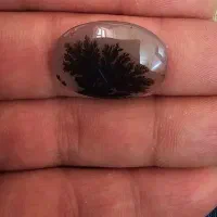 سنگ شجر ( عقیق ، یاقوت ، زمرد )