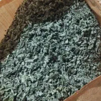 پونه برگ کوهی