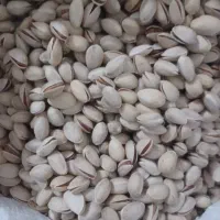 فروش پسته
