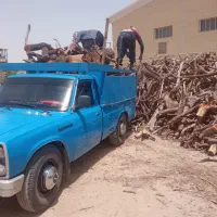 خرید چوب باغی و نجاری