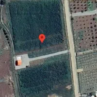 ۱۰۰۰متر زمین دشت بیلو