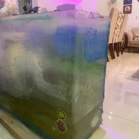 اکواریوم|ماهی|کن, |دیوار