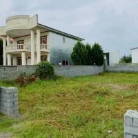 زمین-جنگلی250متری-خوش-قواره-زیرقیمت-700میلیون-نور