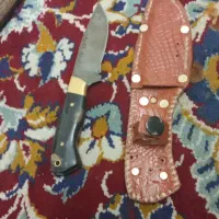 چاقو مخصوص گوشت ریز کردن|ظروف پختوپز|گرگان, |دیوار