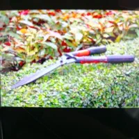 آبیار برای مجتمع