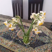 فروش-آپارتمان