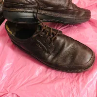 کفش کلارک|کیف، کفش، کمربند|زاهدان, |دیوار