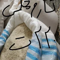 برنج|خوردنی و آشامیدنی|بندر ترکمن, |دیوار