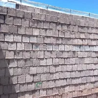 ایزوگام