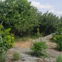 خونه باغی با فضایی دلچسب وبزرگ|اجارهٔ کوتاه‌مدت ویلا و باغ|رودان, |دیوار