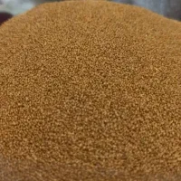 بذر یونجه امریکایی|خدمات باغبانی و درختکاری|شوشتر, |دیوار