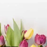 رهن اجاره منزل