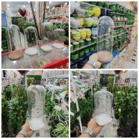 شیشه باکس شیشه آجیل یلدا گلدان تراریوم بامبو چله