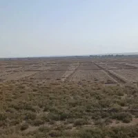 زمین کشاورزی