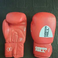 دستکش بوکس مدل گرین هیل حرفه ای|تجهیزات ورزشی|موچش, |دیوار