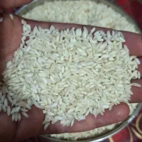 برنج چمپه لردگان ،تازه وبشرط پخت مَن ۲،۲۰۰