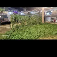 رهن مغازه 16 متری|اجارهٔ مغازه و غرفه|خرمشهر, |دیوار