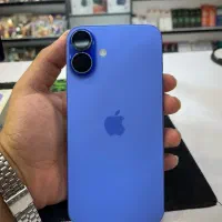 16 plus