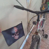 دوچرخه ۲۴|دوچرخه، اسکیت، اسکوتر|شوش, |دیوار