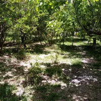 ویلا باغ اجاره ای در **خبر بافت**|اجارهٔ کوتاه‌مدت ویلا و باغ|بافت, |دیوار