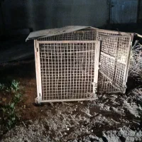 قفس بزرگ|لوازم جانبی حیوانات|کازرون, |دیوار