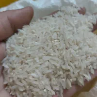 نیم دانه،سرلاشه|خوردنی و آشامیدنی|مشکیندشت, |دیوار