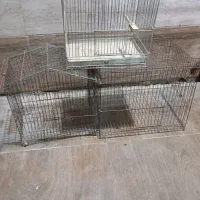 قفس پرنده