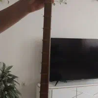 تنبور|سازهای سنتی|کرمانشاه, |دیوار