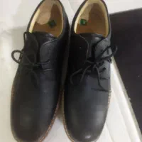 کفش مردانه مدل البرز|کیف، کفش، کمربند|شیراز, محراب|دیوار