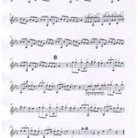 آموزش سنتور