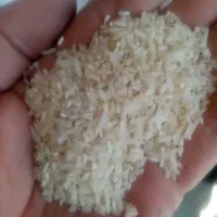 برنج سرلاشه 40٪درشت