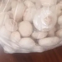 قارچ تازه روز|خوردنی و آشامیدنی|نیشابور, دارایی|دیوار