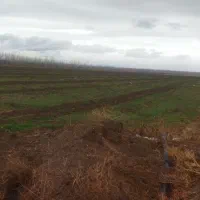 زمین-و-آب-چاه