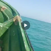 موتور قایق ۴۰پارسیان|قایق و سایر وسایل نقلیه|بوشهر, |دیوار