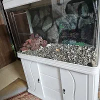 اکواریوم تمیز و سالم با تمامی امکانات