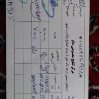 یک عددگاو دورگه با یک گوساله نر سمینتال هشت ماهه|حیوانات مزرعه|بلبان آباد, |دیوار