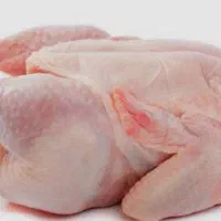 پخش مرغ و فرآورده های پروتئینی