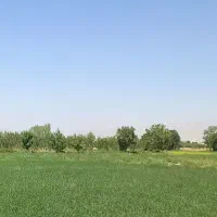 سرایداری