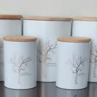سرویس پاسماوری