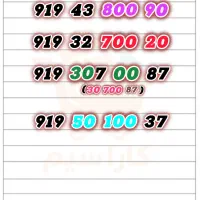 سیم‌کارت ۹۱۹ (صدی وسط )